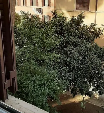 Your In - Garden View *